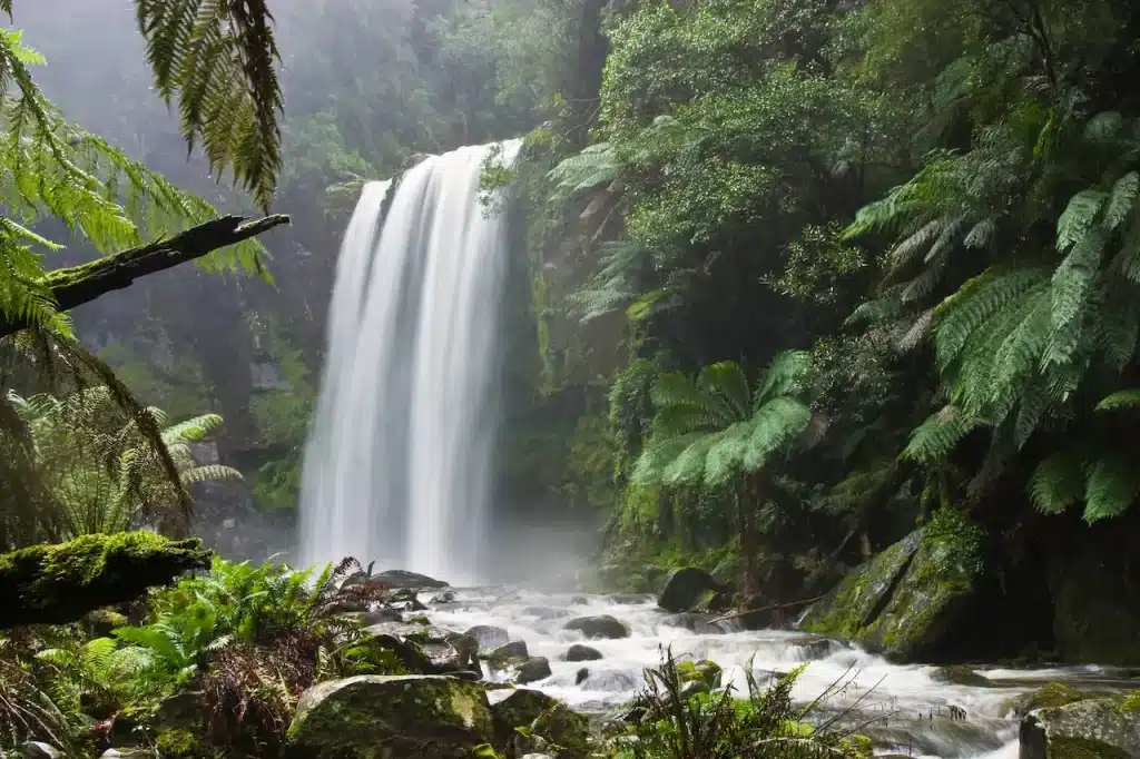Hopetoun Falls Rainforest Waterfall Victoria Australia