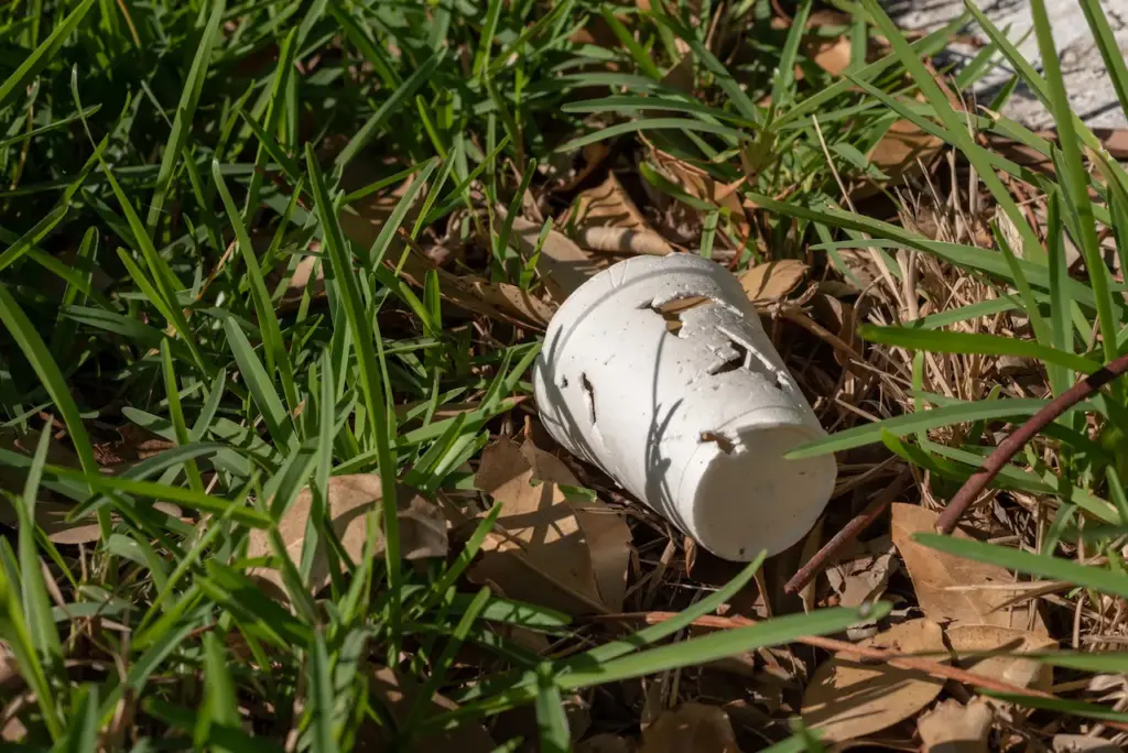 Clean Up Australia Day in Wimmera Mallee Styrofoam cup