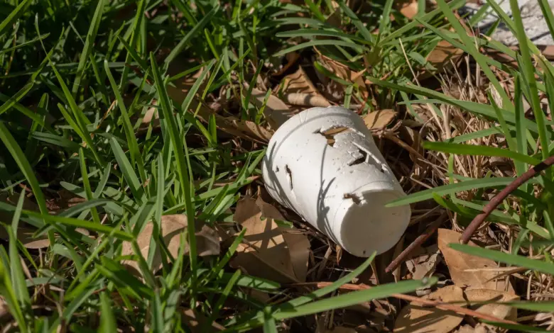 Clean Up Australia Day in Wimmera Mallee Styrofoam cup